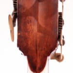 Tewkesbury Double Bass