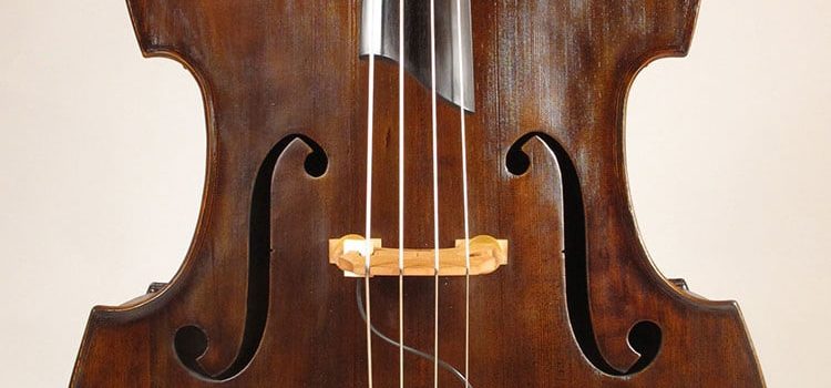 Homolka Double Bass Restored by Upton Bass
