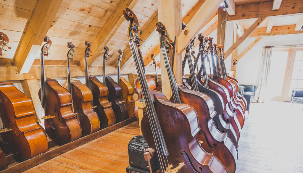 Double Bass Showroom