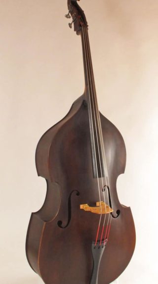 Affrodable Hybrid Back up Double Bass