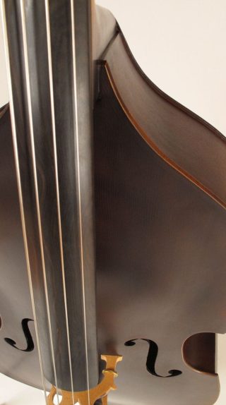 Backup Hybrid Upright Bass