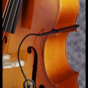 AMT S25B Double Bass Microphone