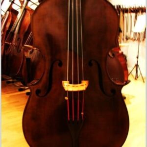 SOLD: A Very Special UB Deluxe HYBRID Double Bass- Carved Top Hybrid Upright Bass