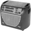 Acoustic Image Double Bass Amp - Corus S4 Combo