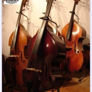 Czech Ease Travel Upright Bass