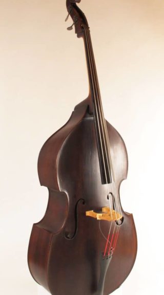 Adjustable Neck Travel Upright Bass