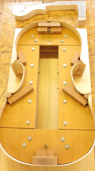 Upton Bass Custom Cello Commission rib layout on top