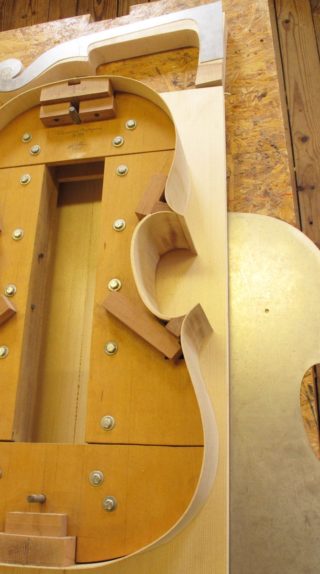 Upton Bass Custom Cello Commission rib layout