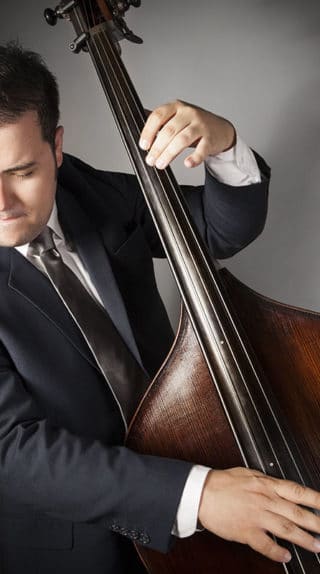 David White Bassist