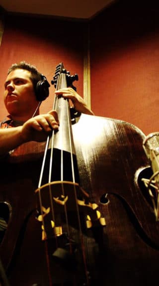 David White Bassist