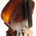 Morelli Double Bass