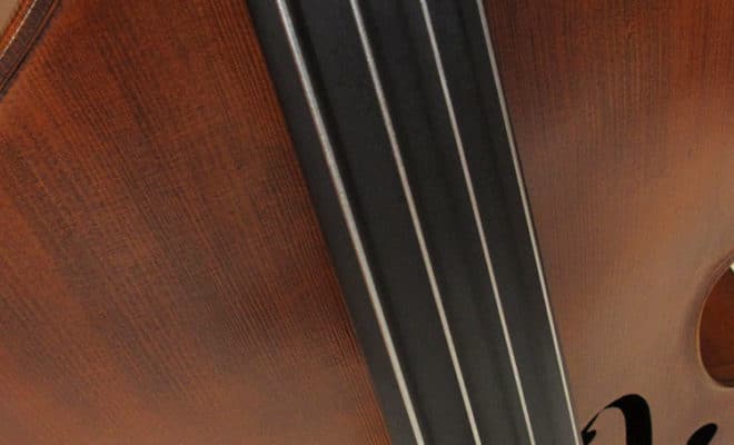 Upton Mittenwald Hybrid Double Bass