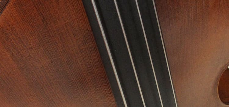 Upton Mittenwald Hybrid Double Bass