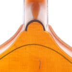 Kay Five String Double Bass