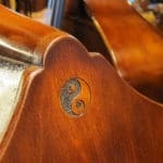 Victor Wooten Double Bass