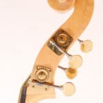 Upton Tigerswing Double Bass