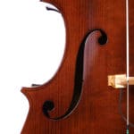 Upton Professor Double Bass