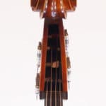 Romanian Double Bass