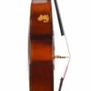 Kay C-1 upright bass bass side