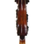 Kay C-1 upright bass scroll back