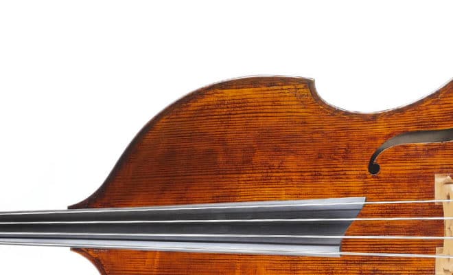 Upton Ergo Double Bass Feature Banner