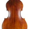 Luciano Golia double bass back