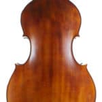 Luciano Golia double bass back
