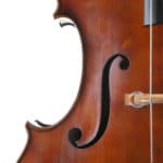 Luciano Golia double bass ff-hole