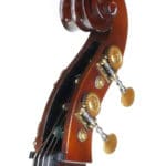 Luciano Golia double bass scroll angle