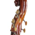 Luciano Golia double bass scroll angle