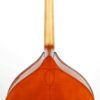 Lou DiLeone double bass back neck
