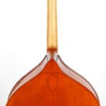 Lou DiLeone double bass back neck