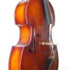 Rubner bass angle
