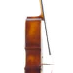 Cello Upton Bass Bigleaf Maple