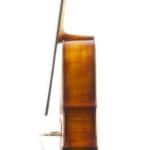 Cello Upton English Sycamore