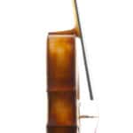 Cello Upton English Sycamore