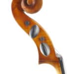 Cello Upton English Sycamore