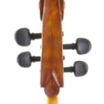 Cello Upton English Sycamore