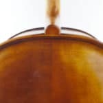 Cello Upton English Sycamore