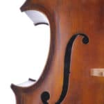 Cello Upton English Sycamore