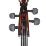 Cellos at Upton Bass Poplar