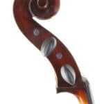 Cellos at Upton Bass Poplar