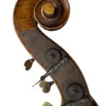 double bass head side view