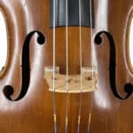Double Bass Close Up