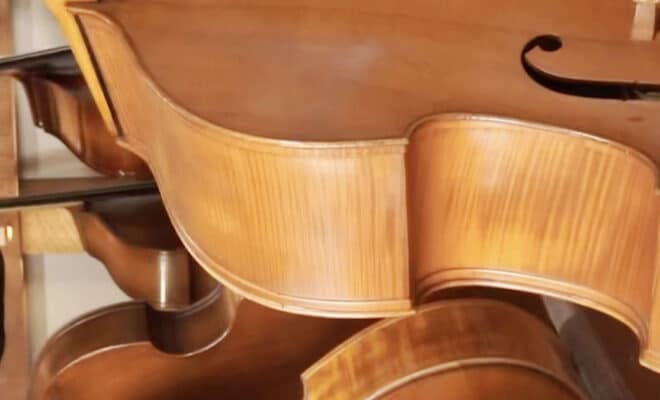 double bass close up