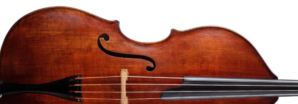 Upright Bass