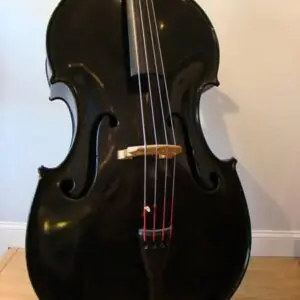 SOLD: Roth Fiberglass Double Bass Upright Bass