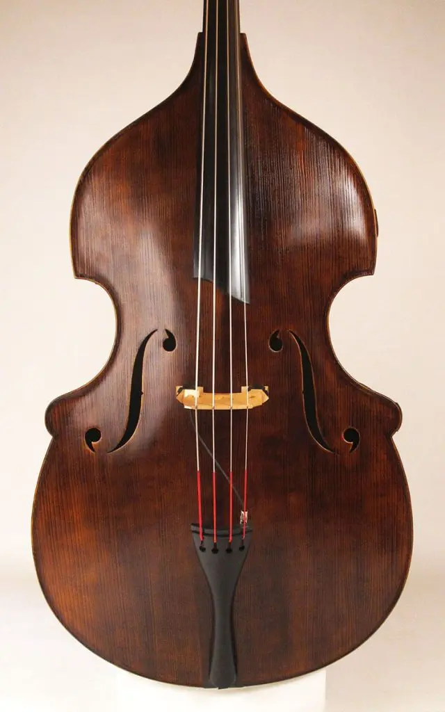 spalted concord upright bass