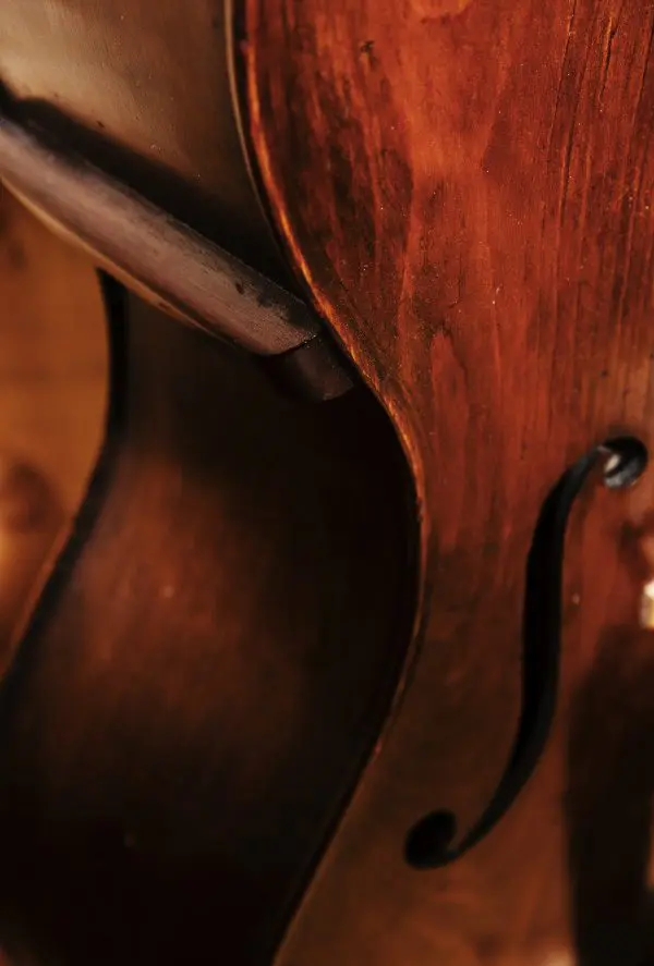 Kolstein "Pear Shaped" Double Bass - Image 2