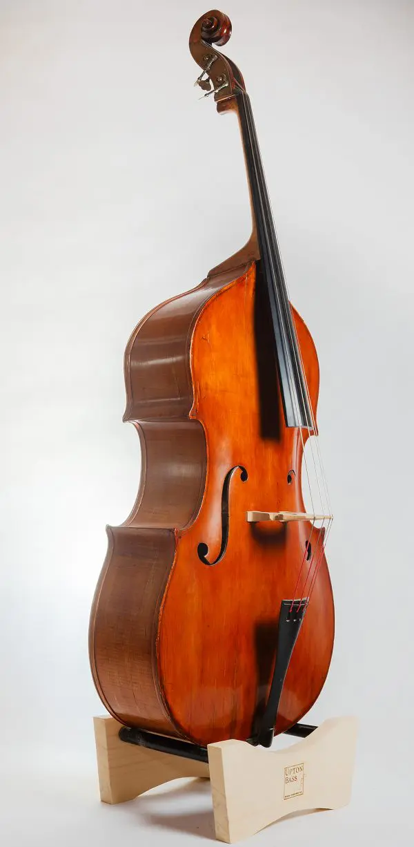 Flat Back 7/8 Double Bass – Late 19th to Early 20th Century - Image 3